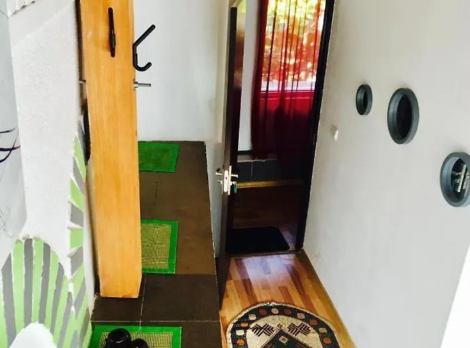 Rolling Stone * Braşov