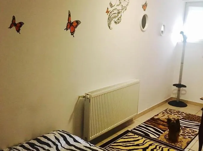 Hostal Rolling Stone *