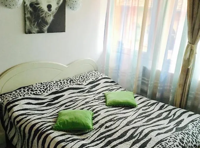 Rolling Stone * Braşov